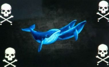 Psikologu për “Balenën e kaltër”: Situata është shqetësuese