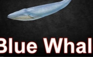 “Balena e Kaltër” arrin në Kosovë (Video)