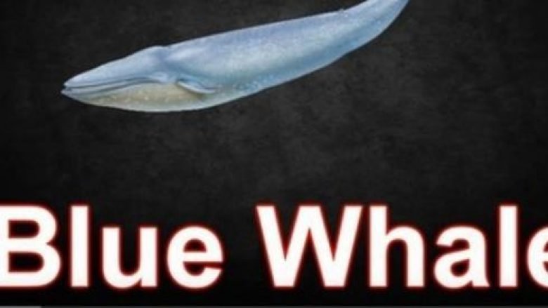 “Balena e Kaltër” arrin në Kosovë (Video)