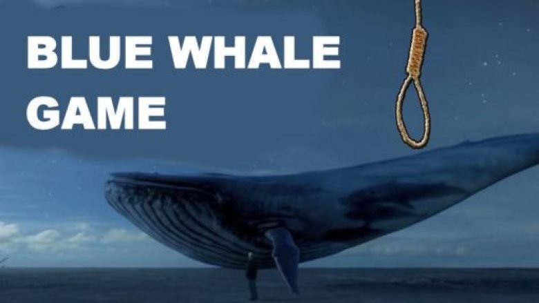 Bllokohet “Balena e kaltër” në rrjetin e Kosovës