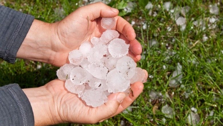 Në Komunën e Mogillës moti i keq ka shkaktuar dëme të kulturave bujqësore