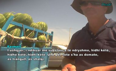 Nisin hetimet për fitohormone, te fermerët e Shqipërisë (Video)
