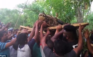 Pasi e kapën, fshatarët e “shëtitën” nëpër fshat krokodilin gjigant (Video)