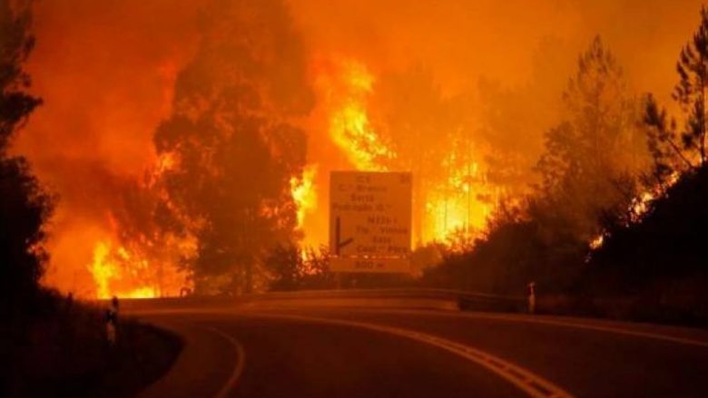 Shkon në 39 numri i të vdekurve nga zjarret në Portugali (Video)