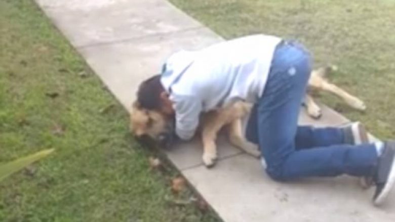 Tetë muaj ishte zhdukur, djaloshi nuk i mban lotët kur bashkohet me qenin e tij (Video)