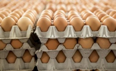 Policia ndalon dy shtetas të Serbisë për kontrabandim me mallra – në kamion u gjeti rreth 90 mijë vezë pa dokumente