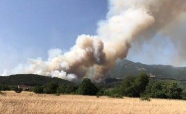 Zjarr në malin e fshatit Dollogozhdë në Strugë