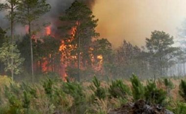 ”Nevojitet ndihmë ndërkombëtare për ballafaqim me zjarret në Maqedoni”