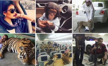 Armë të lara në flori, vetura të shtrenjta e aeroplanë privat për transportimin e shqiponjave: Jeta luksoze e fëmijëve të pasanikëve të Arabisë Saudite (Foto)