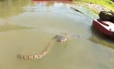 Filmohet gjarpri gjigant te plazhi i Kepit të Rodonit duke copëtuar e gëlltitur një peshk (Video, +18)