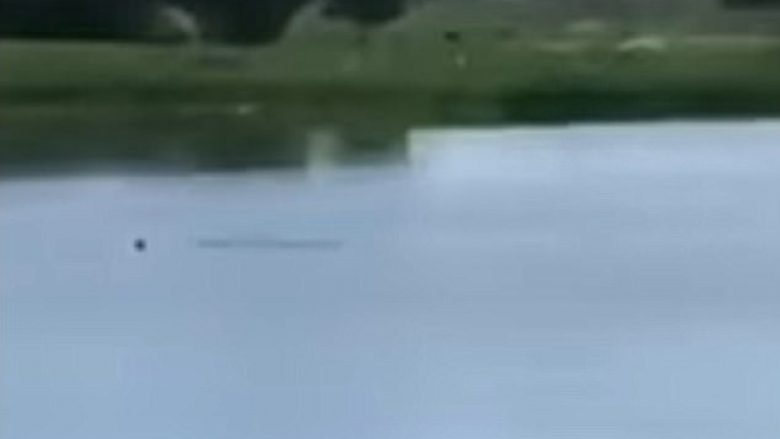 Burri mbytet në liqen, adoleshentët e filmojnë dhe qeshin – nuk ndërmarrin asgjë për ta shpëtuar (Video, +18)