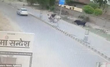 Momenti kur demi i tërbuar “nokauton” motoçiklistin në qendër të qytetit (Video, +18)