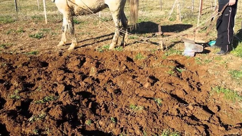 Përleshjet për toka e ara nuk kanë të ndalur në Maqedoni!