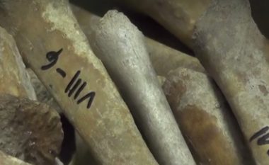 Gjendet edhe një varrezë masive në Zajaz (Video)
