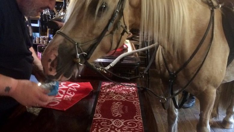 Kali hyri në kafene, e shërbyen sikur të ishte vizitor i zakonshëm (Video)