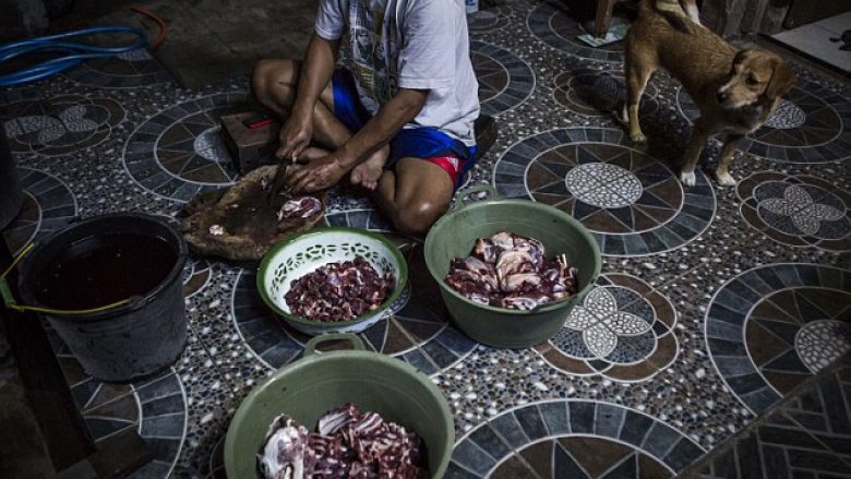 Indonezi, qentë mbyten brutalisht dhe të shiten për mish (Foto)