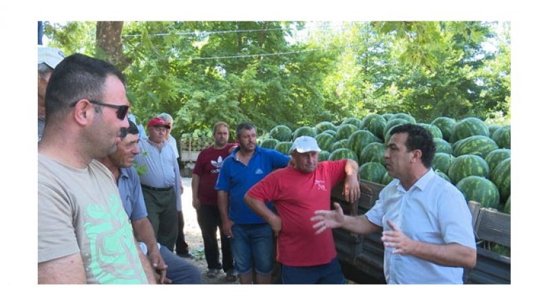 Ankesa në komunën e Novo Sellës për çmimin dhe rënien e shitjes së shalqirit