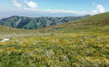 Parku Kombëtar i Pelisterit, vend mahnitës që të ofron qetësi shpirtërore (Foto)