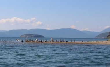 Ministria e Mjedisit: Në vazhdimësi po ndjekim gjendjen kritike në Liqenin e Prespës