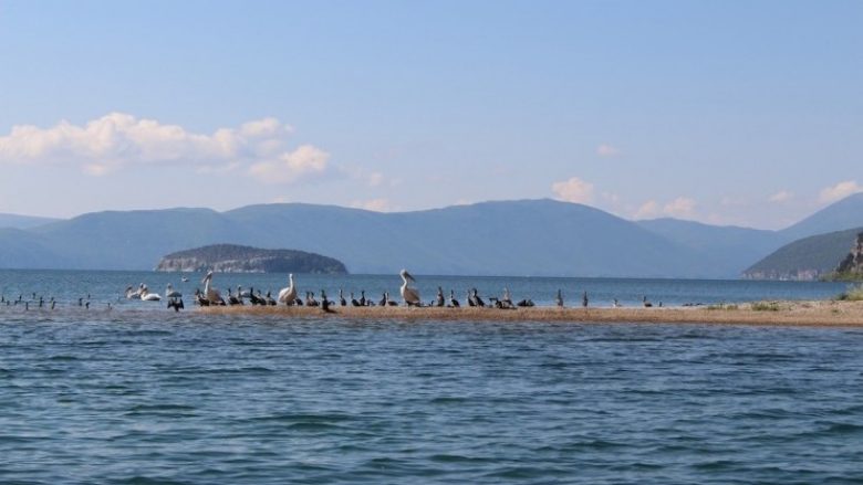 Ministria e Mjedisit: Në vazhdimësi po ndjekim gjendjen kritike në Liqenin e Prespës