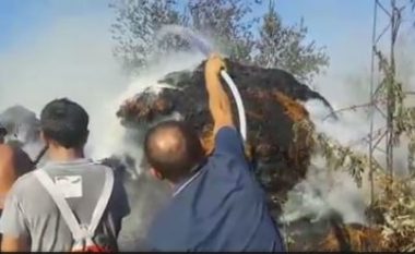 Zjarri rrezikon 3 banesa në Velipojë, asfiksohet shoferi i zjarrfikëses (Video)