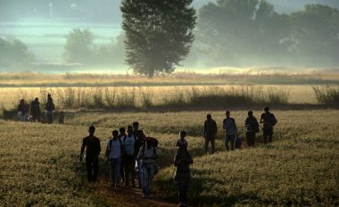 Për dy muaj, mbi 390 migrantë kanë synuar të kalojnë nëpër Maqedoni