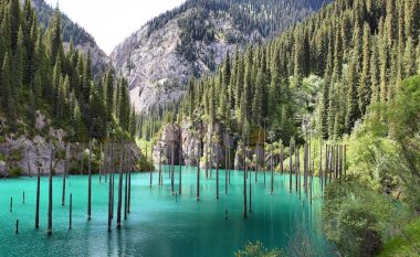 Me një pyll në mes: A është ky liqeni më i bukur në botë? (Video)