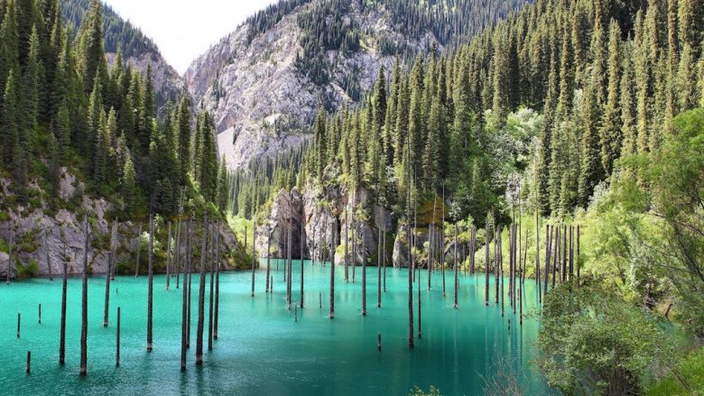 Me një pyll në mes: A është ky liqeni më i bukur në botë? (Video)