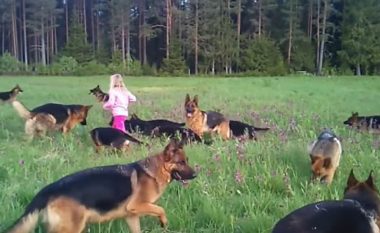 Babai ka lënë vajzën me 14 qen: Pamje të këtillë nuk ka pritur! (Video)
