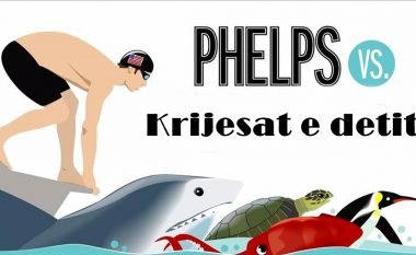 Phelps në garë me peshkaqenin e bardhë, breshkën e detit, balenën e shumë krijesa tjera, por kush do të triumfonte në fund? (Video)