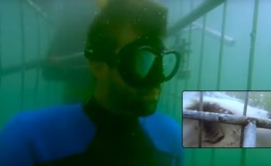 Peshkaqeni u përpoq ta sulmonte Michael Phelpsin gjatë përgatitjeve për garën që ka tërhequr vëmendje të madhe (Video)