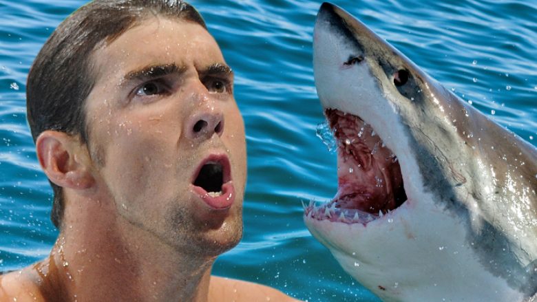 Phelps nuk garoi me një peshkaqen të vërtetë, ndërsa shikuesit u zhgënjyen (Video)