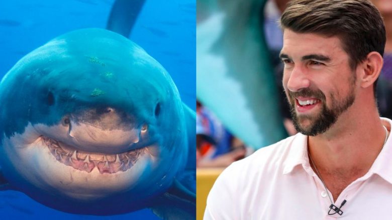 Phelps kundër peshkaqenit – në shumë raste njeriu ka garuar me kafshët (Foto)