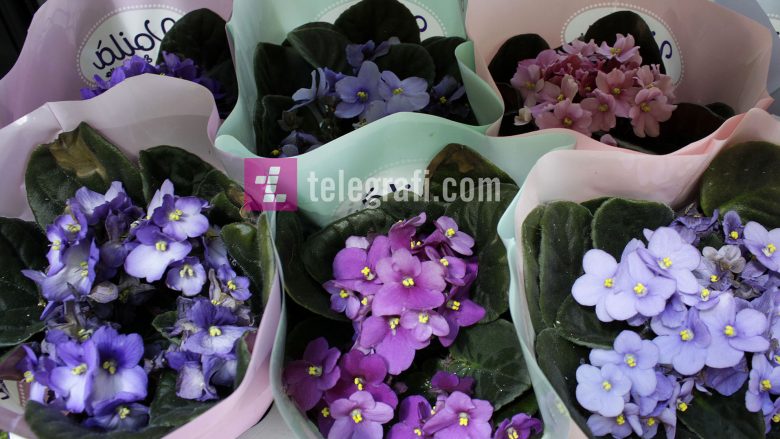 Komuna e Velesit do të harxhojë 2000 euro për lule