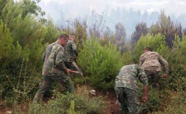 Ushtria shqiptare vazhdon aksionin për të shuar zjarret