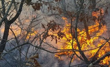 Zjarre në BeH, Kroaci dhe Mal të Zi
