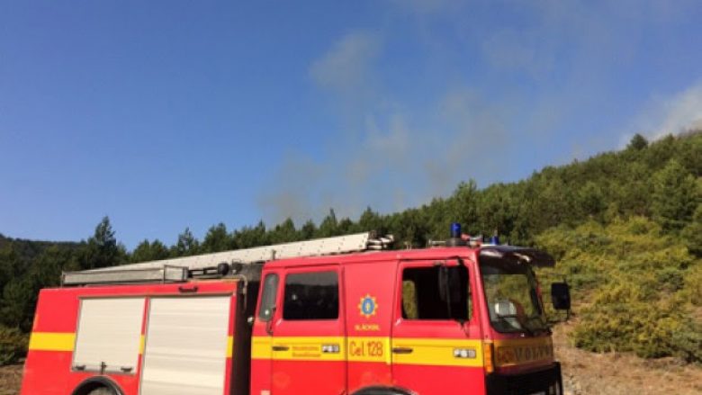 13 vatra të reja zjarri në 24 orët e fundit në Shqipëri