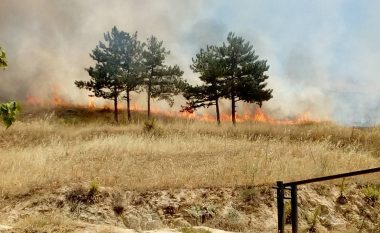 Ulet numri i zjarreve aktive në Maqedoni