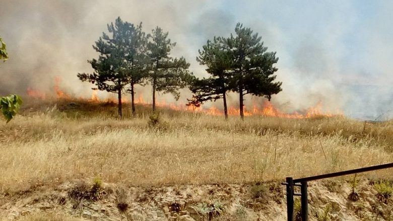 Ulet numri i zjarreve aktive në Maqedoni
