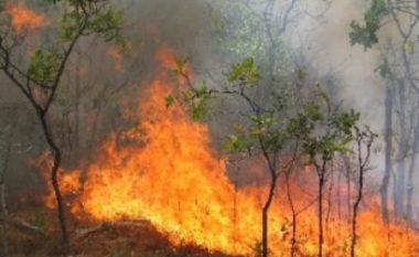 Zjarri në afërsi të Makedonski Brod ende është aktiv (Video)