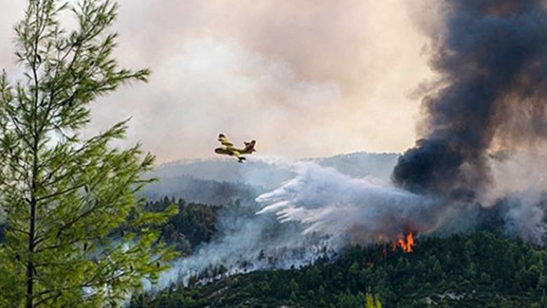 Digjen 200 hektarë pyje me pisha në Makedonski Brod, ARM kontribuon në lokalizimin e zjarrit