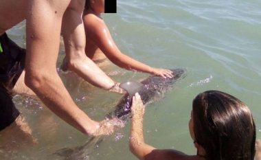 Turistët e nxjerrin nga uji për të bërë selfie, ngordh delfini i vogël (Foto)