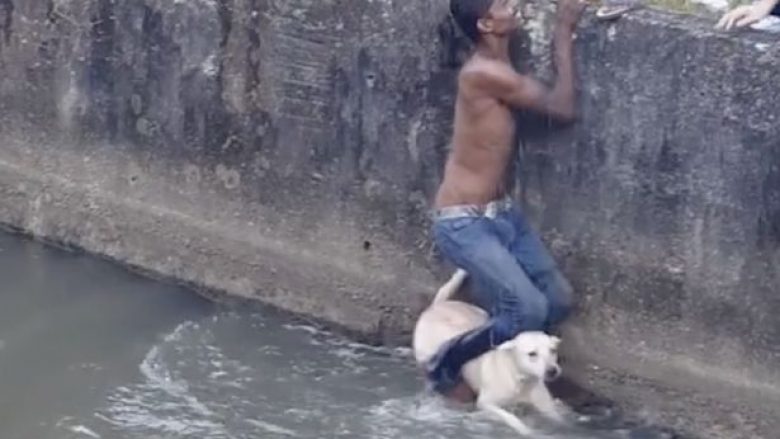 Rrezikon jetën për ta shpëtuar qenin që ka rënë në ujë (Video)