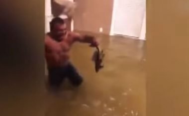 Të kapësh peshkun brenda shtëpisë! (Video)