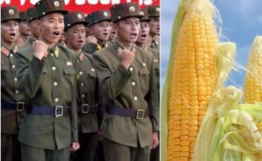 Kim Jong-un detyron ushtarët e uritur të vjedhin dhe hanë misër