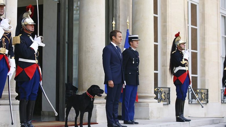 Presidenti francez bëhet me qen (Foto/Video)