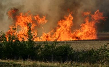 Shqipëri, ende 7 vatra zjarri aktive