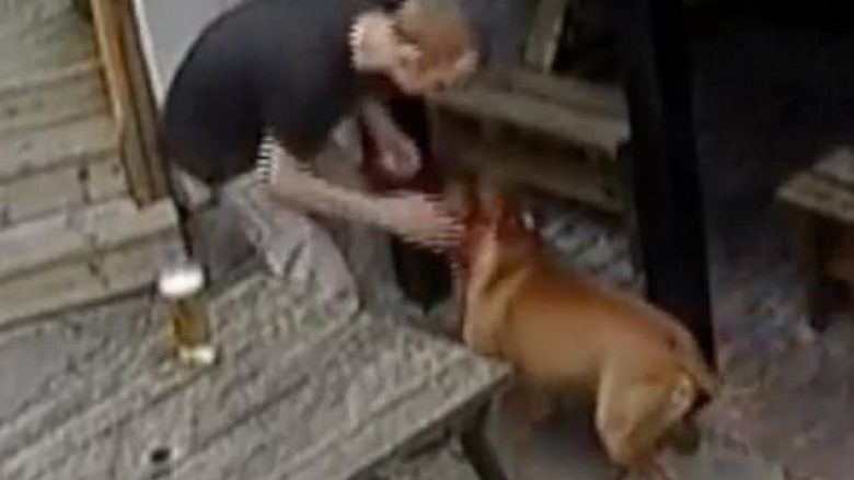 Burg për pronarin që rrahu brutalisht qenin (Video)