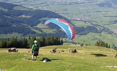 Gjatë lëshimit me parashutë u përplas keq për një lopë (Video)