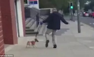 Kalimtarët ndalojnë pronarin që po e shqelmonte dhunshëm qenin e tij (Video)